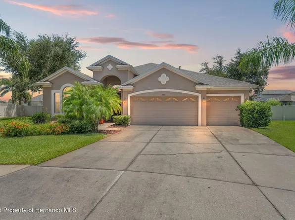 3331 Stonegate Falls Dr, Land O Lakes, FL 34638