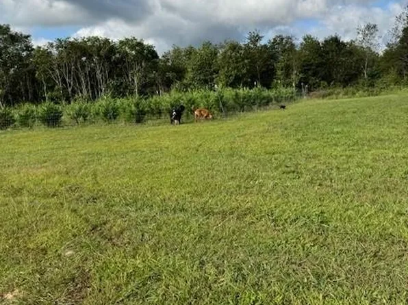 129 Rushing Springs Rd, Monterey, TN 38574