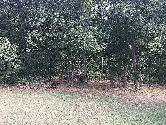 Looking back to wooded area