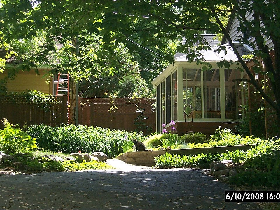 the cat likes her spot