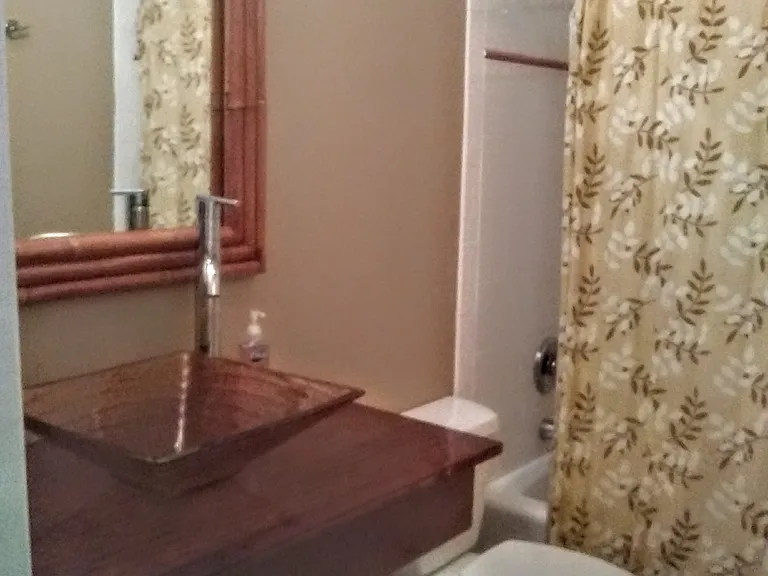 1727 Joyce St — Photo 33