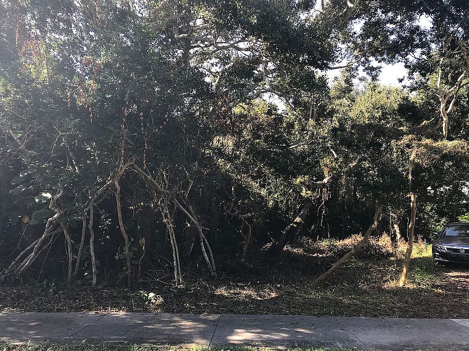 One of the last tree lots