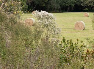 2965 Crossfield Dr, Green Cove Springs, FL 32043