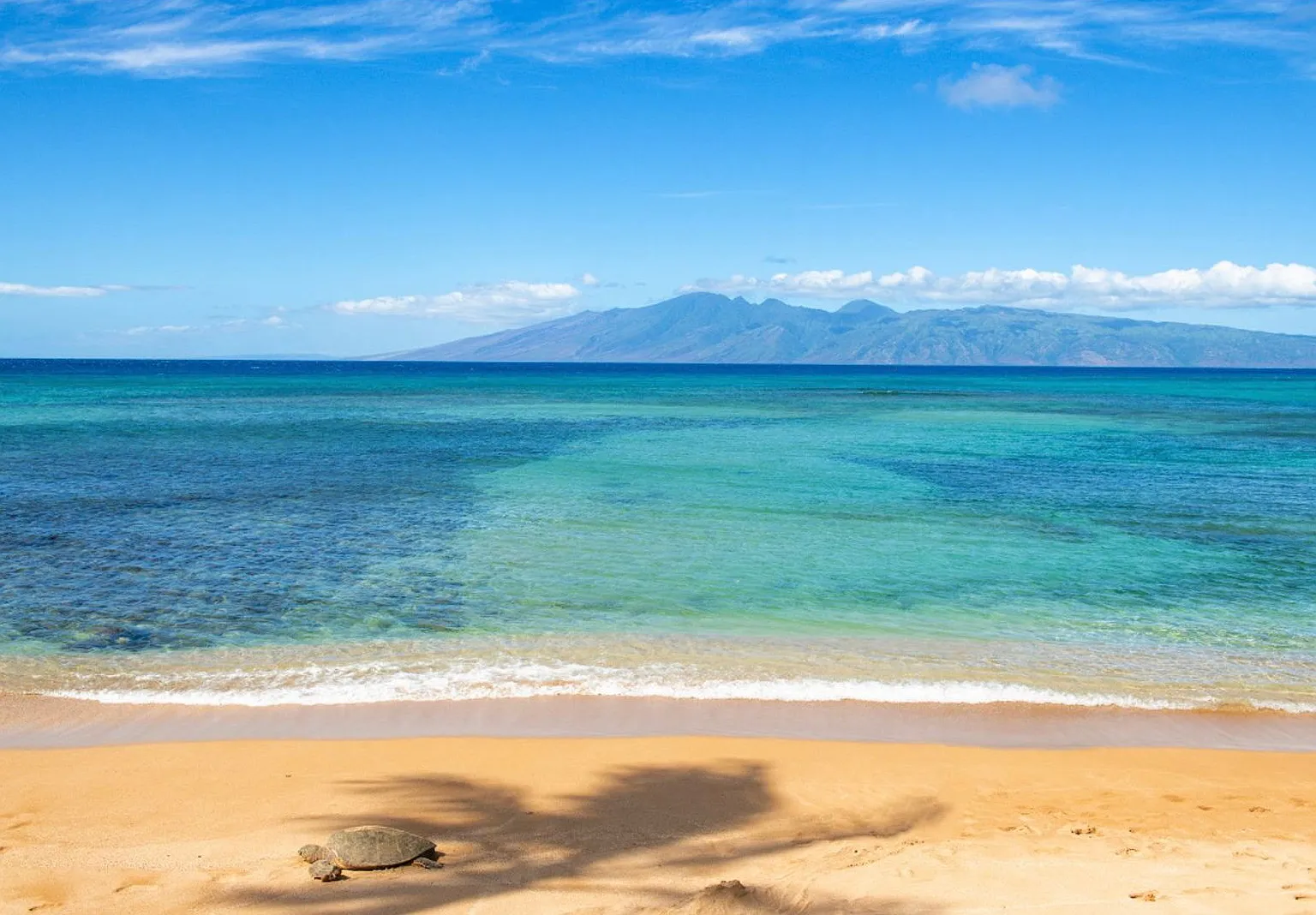 Oceanfront Living At Hale Mahina 1 Bedroom / 1 Bath — Photo 1