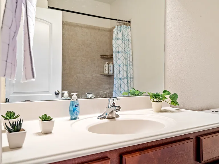 4212 Pont Du Gard Way — Photo 8