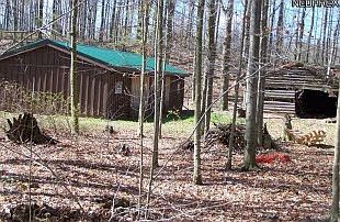 2nd image of 8444 Cox Rd