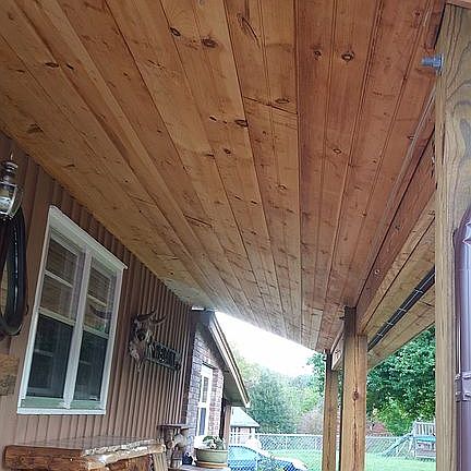 Ceiling of back porch