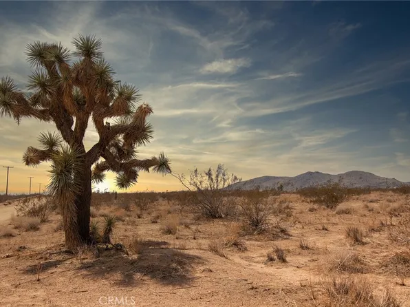 1348 Fortuna Ave #31, Landers, CA 92285