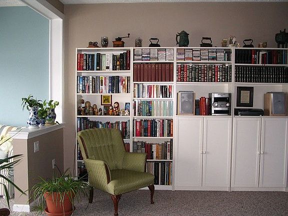 bookcases in living room