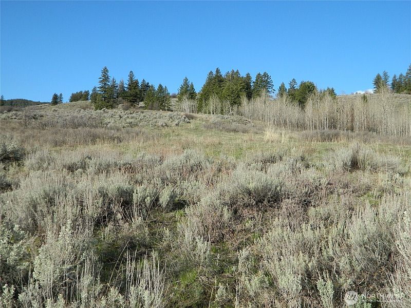 5th image of 0 TBD Ellemeham Ridge Road