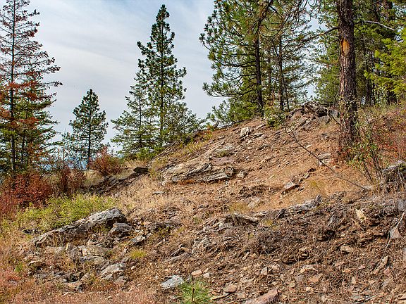 5th image of 991 Jaspers Cabin Ln