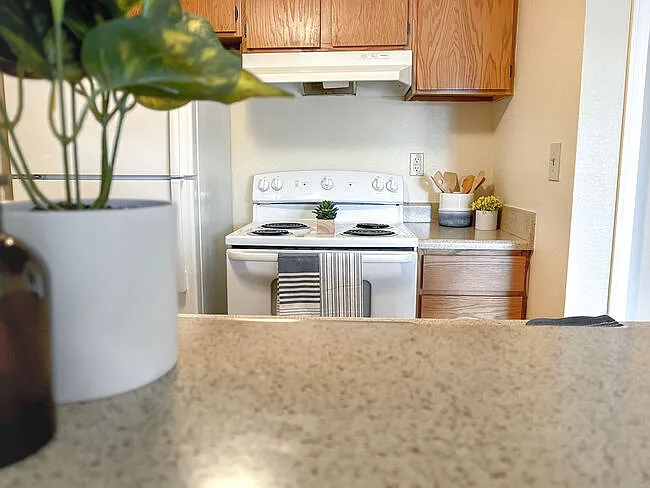 Stonehaven Apartments — Photo 11
