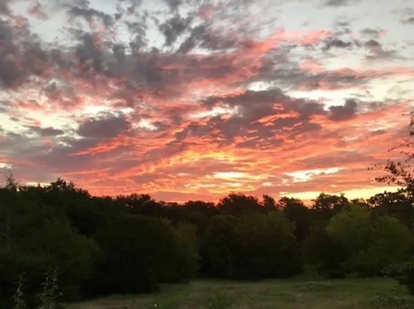 County Road 2320, Terrell, TX 75160