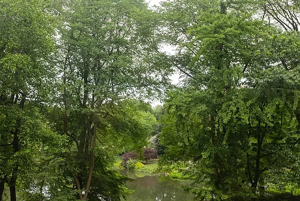 Rented by Brown Harris Stevens | media 19