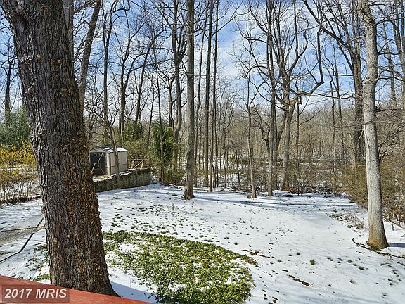 3rd image of 10238 Parkwood Dr