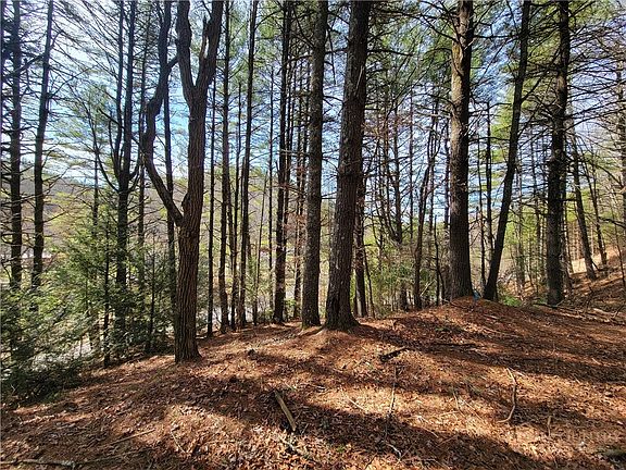 5th image of TBD (Lot 73) Creekside Meadows Drive