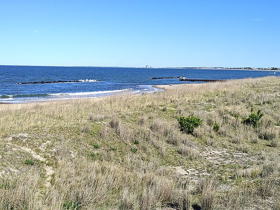 Bay & beach