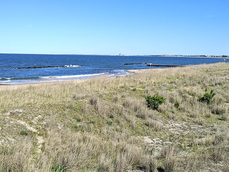 Bay & beach