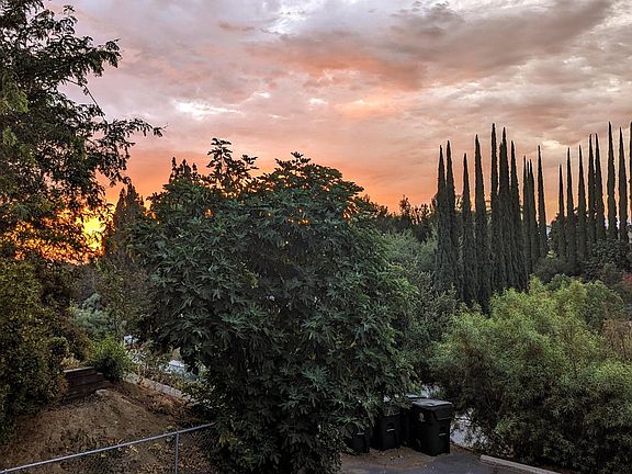 2nd image of 30639 Palo Alto Dr #1