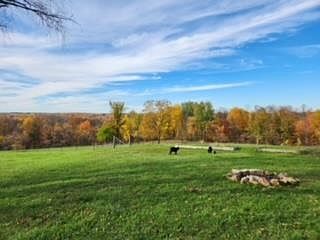 4th image of 43496 County Road X