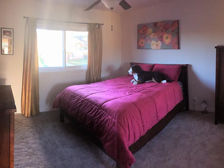 6426 Spear St — Photo 8