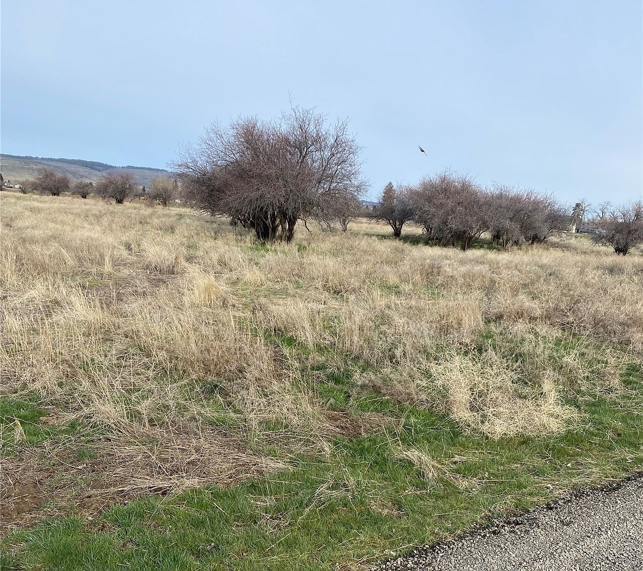 231 Sawbuck Drive, Ellensburg, WA 98926 Zillow