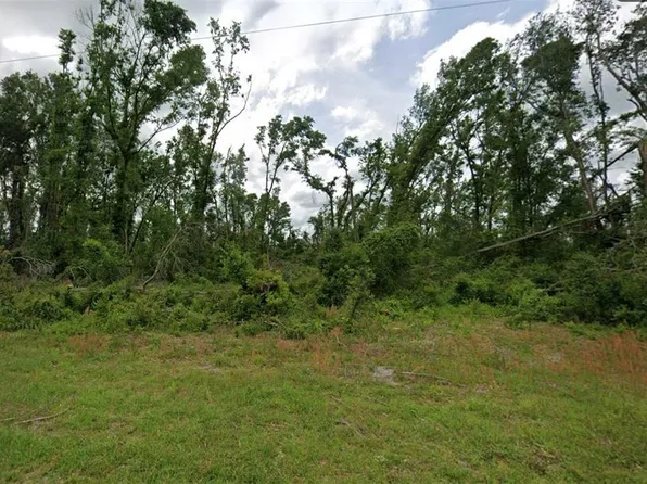 0 SW Doe Rd, Mayo, FL 32066