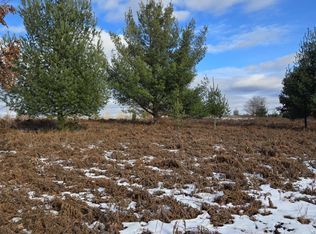 LOT 895 Miramichi Dr, Evart, MI