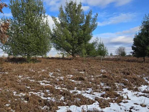 LOT 895 Miramichi Dr, Evart, MI 49631