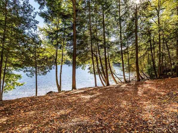 0 Thompson Portage Rd, Lake Of Bays, ON P0A 1H0