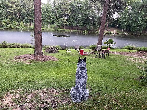 4th image of 7834 Fm 1638