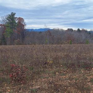 0 Fox Hall Dr Lot 4, Amherst, VA, 24521