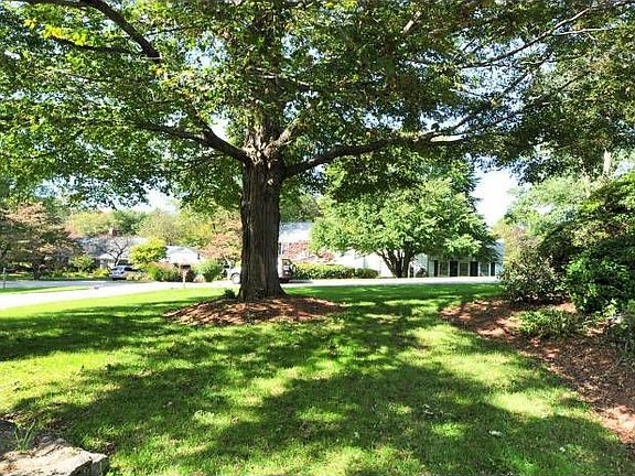 Front Yard