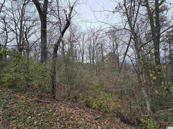 1024 Melody Dr #1, Birmingham, AL 35214