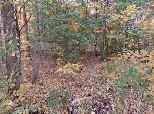 Stroups Hickox Rd, West Farmington, OH 44491