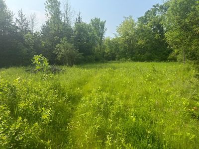 3920 Tomahawk Trl, Hamel, MN, 55340
