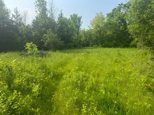 3920 Tomahawk Trl, Hamel, MN 55340