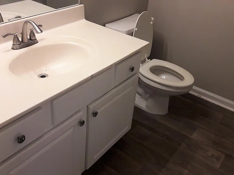 456 Suwanee East Dr — Photo 8