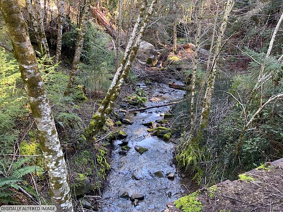 5th image of 10225 Low Gap Road