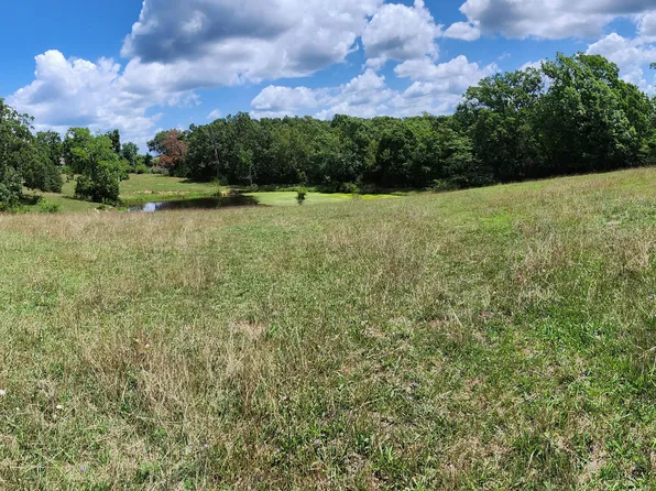 3895 Finch Drive, Cabool, MO 65689