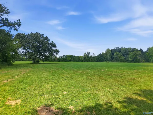 3820 S South Chapel Hill Rd, Decatur, AL 35603