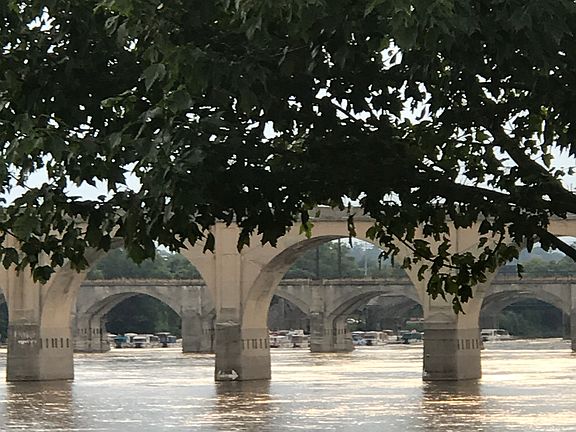 View of river on a normal day