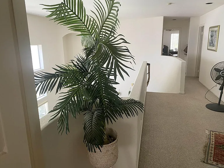 4534 Da Vinci St — Photo 8