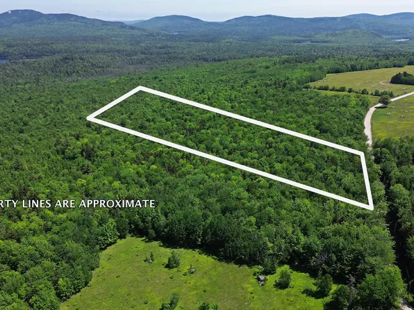 Lot 4 Martins Ridge Road, Franklin, ME 04634