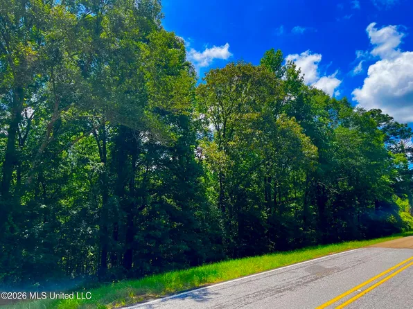F E Sellers Hwy, Monticello, MS 39654