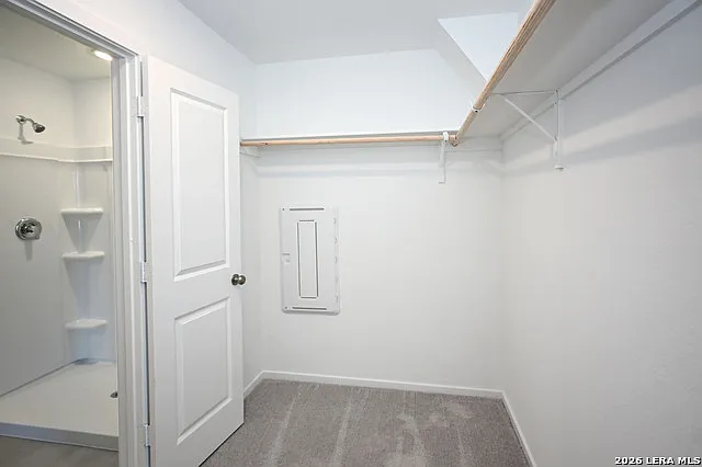 729 Thea Mdws — Photo 10