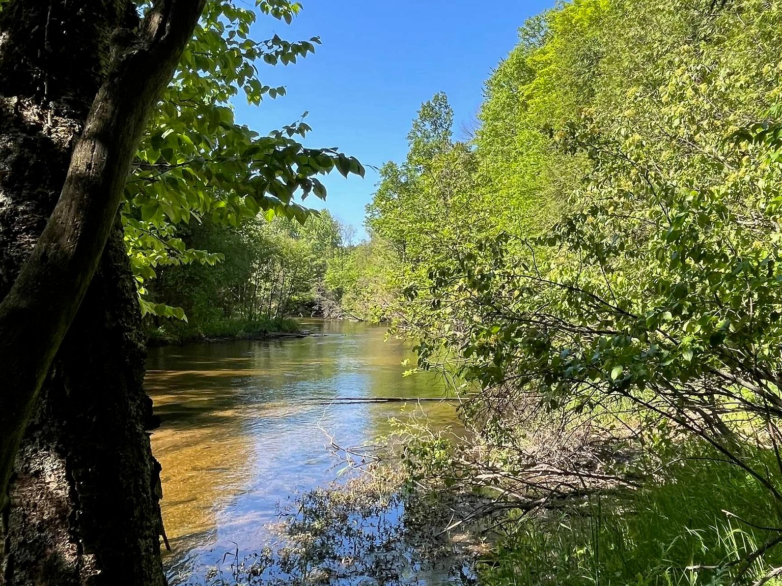 0 S Thompsonville Hwy, Thompsonville, MI 49683 Zillow