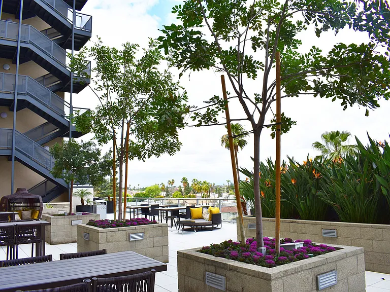 NoHo 14 — Photo 21