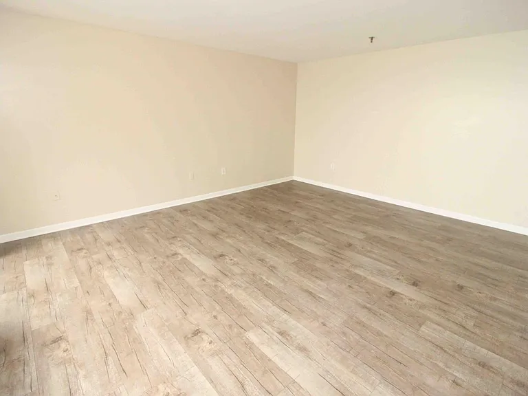 1001 W Jefferson Ave #300/29D — Photo 8