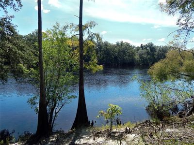 1357 NE 930th St, Old Town, FL, 32680